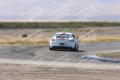 media/Oct-04-2025-OnGrid (Sat) [[44bd565ffa]]/Green Group/Grapevine/